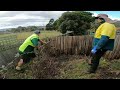 This Garden Shed was Being Smothered by a Lemon Tree | Overgrown Yard Makeover