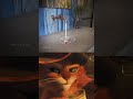 HOW IS THIS EVEN POSSIBLE || Mr Bombastic #viral #cat #funny #memes