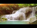 Relaxing Calming Music with Water Sounds, Bird Sounds 🎁 Meditation, Sleep Music Tuneone, Study Music