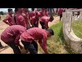 National service scheme model degree college nabarangpur