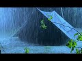 🎧 Listen & Fall Asleep Instantly | Torrential Rain On Tent & Strong Thunder On Rainy Night In Forest