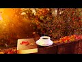 Serene Autumn Morning Ambience: Coffee Pouring, Leaves Falling, Cozy Nature Sounds, Pages Turning