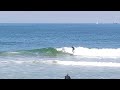 Jun 14, 2024   Dolphins came out to play again! What a great day! Pyzel The Gremlin 5'6 fun board.