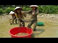 Drain The Pond and Harvesting A Lot Of Fish For Sell (Help Ly Tieu Toan) | Phương Free Bushcraft