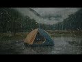 Relaxing Rain Sounds In Foggy Forest At Night For Insomnia Relief, Melatonin Release, Relaxation