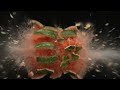 1 Minute Timer BOMB 💣 With Huge Watermelon Explosion 💥🍉