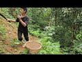 FULL VIDEO: The Orphan Boy was bitten by a giant snake and went to the forest to find food