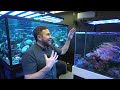 Touring The BEST Hobbyist NPS Aquarium + Stunning Corals And Fish