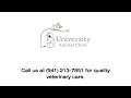 The University Animal Clinic: Quality Veterinary Care in Bradenton, FL