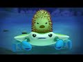 Octonauts - Vampire Squid, The Crab and Urchin | Cartoons for Kids | Underwater Sea Education