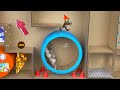🐹Hamster Escapes the Amazing Maze and Traps😱[OBSTACLE COURSE]😱 + ZOMBIES