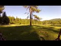 Colville forest 2012P2.avi