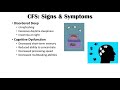 Chronic Fatigue Syndrome | Triggers, Symptoms, Diagnosis, Treatment