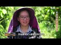 筍村女兒的熱血傳承/築夢踏實屏東的可可/葡萄園兒子的堅持/大林的孫子金鑽鳳梨∣一步一腳印【完整版】20240714