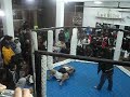 peleas en jaula jiu-jitsu