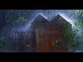 Rainstorm & Mighty Thunder Sounds on Tin Roof at Night help Stress Relief, Fall Asleep Quickly