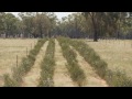 Bruce and Roz Maynard- The Lazy Farmers from Narromine