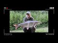 Monster Barbel and Chub | Alan Stagg | River Thames