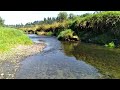 Salmon Creek Adventure Part II: A Creek Named Cougar