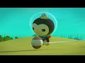 Octonauts: Above & Beyond - ☀️ Summer Games🥇 | Compilation | @OctonautsandFriends​