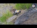 RC Crawler Trial Rock Viper & Trx4 sport à la carrière du Verger  👋😎🤘🇨🇵