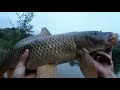 cast-to-catch | sight fishing big carp w/ corn