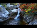 Peaceful & Calm Stress Relief Meditation Music | Colorful Autumn Leaves | Waterfall Mountainside