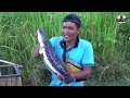 Di Luar Akmal ! Orang Ini Masih Bisa Mendeteksi Keberadaan Toman Di Luapan Sungai