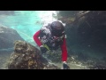 Orange County Fire Rescue Department: Dive Rescue Academy