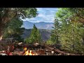 Spring Ambience | Sunny Day Ambience with Nature Sounds and Relaxing Campfire