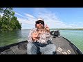 Wakebait Fishing For Bass! (Everything You Need To Know)