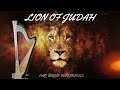 LION OF JUDAH / PROPHETIC HARP WARFARE INSTRUMENTAL / DAVID HARP/432Hz BODY HEALING INSTRUMENTAL