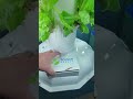 Tower Garden 2+ months in