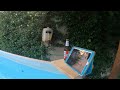 tavolino piscina stampa 3d e legno