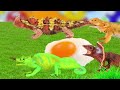 Let's raise robot lizardㅣcocos animation, animals names for kidsㅣCoCosToy