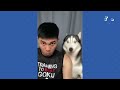 FUNNIEST Huskies 😂 | BEST Compilation of Dogs