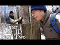 How to Identify Trees in the Winter (Part 1)