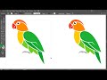 image trace parrot design illustrator tutorial