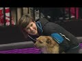 Agility - Championship Final | Crufts 2016