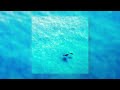 Pandora x September ; ocean atmosphere (slowed) [1 hour]
