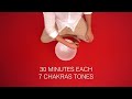 Pure Frequency Specific Sound Baths | 30 Minutes Each Chakra | Singing Bowl Meditation Music | Relax