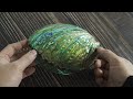 Polishing a big abalone shell by hand - Relaxing Video