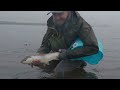 Coastal Sea Trout : Sea Trout on the fly : Winter Sea trout