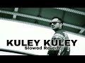 KULEY KULEY - Honey Singh || Slowed Reverb || #lofi #slowedandreverb #honeysingh #slowed #kuleykuley