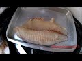 TIRANDO FILÉ DE UMA #TILAPIA GIGANTE.