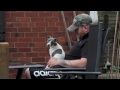 working whippet training pt 1