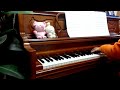 when the love falls (겨울연가 ost) piano cover /冬のソナタ ピアノカバー