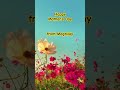 Get In The Mother's Day Spirit With Happy Music From Magnilay, Happy Mother's Day Instrumental