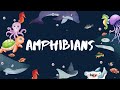 OCEAN ANIMALS for everybody in English | Types of Under Water Animals with Examples | Sea Animals
