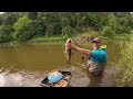 FANTASTIC FISHING - River Wye Meat Shallow On The Waggler - 12/7/24 (Video 505)